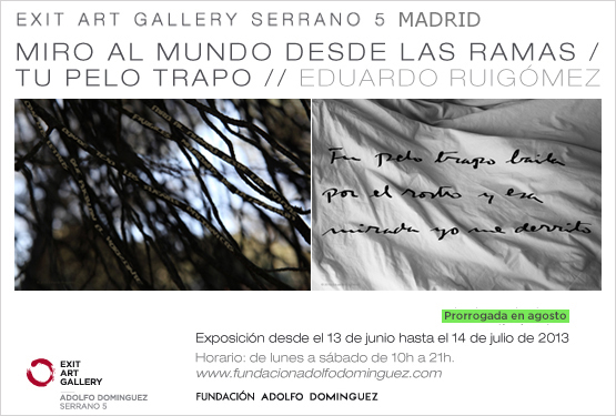 Noticia nº17