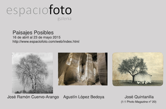 Noticia nº24b
