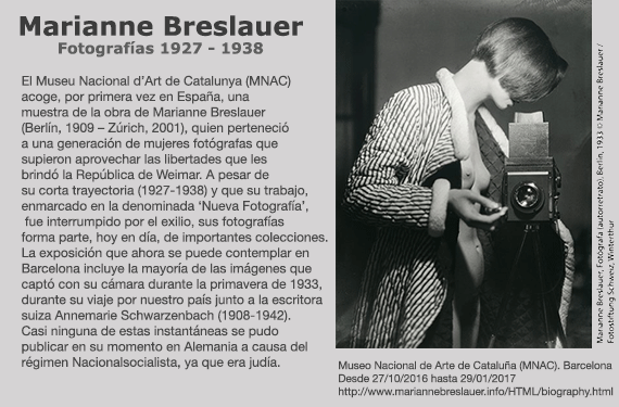 Noticia nº31